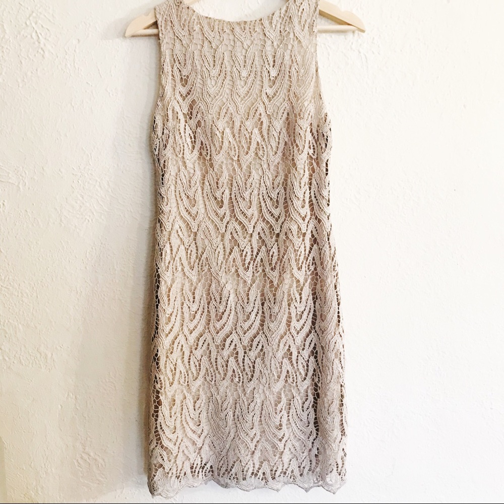 Alice + Olivia Grey Metallic Lace Sheath Dress - Picture 3 of 8